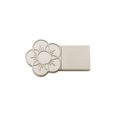 Zastosowanie logo okładki Metal Usb Stick 2g 2.0 Port