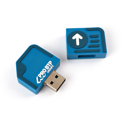 2GB Niestandardowe napędy flash USB 10 lat Przechowywanie danych Darmowe i szybkie Artystyka dostosowalna