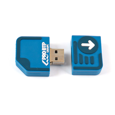 2GB Niestandardowe napędy flash USB 10 lat Przechowywanie danych Darmowe i szybkie Artystyka dostosowalna