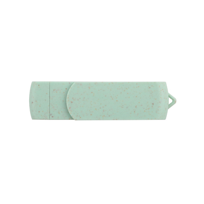 Podtrzymany hasłem Niestandardowy logo typu C USB flash drive do masowego przechowywania i przesyłania danych