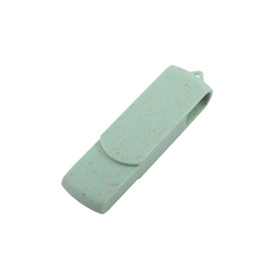 Podtrzymany hasłem Niestandardowy logo typu C USB flash drive do masowego przechowywania i przesyłania danych